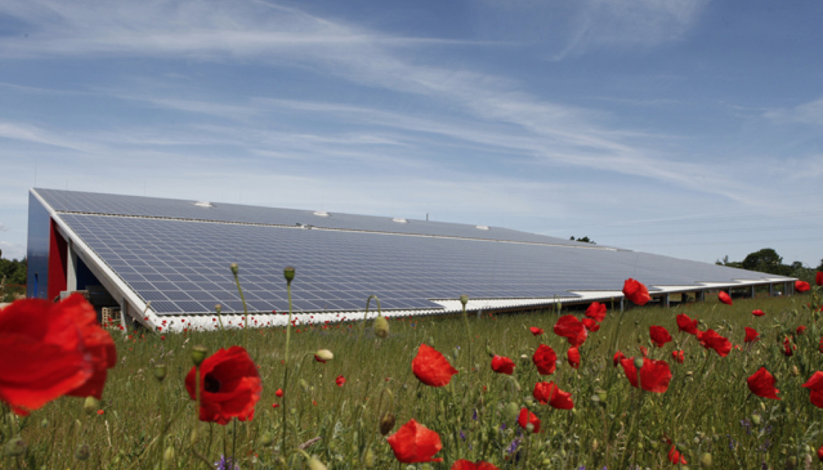 Gewerbehalle AngelJoe mit Photovoltaik-Pultdach hinter Mohnblumenwiese unter blauem Himmel